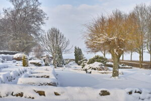 Manutenzione del prato durante l'inverno