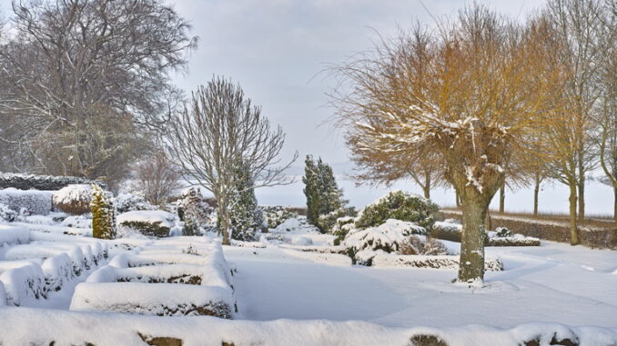 Manutenzione del prato durante l'inverno