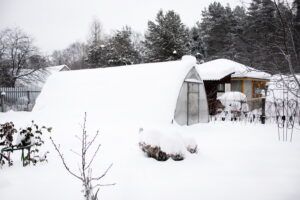 Preparare le aiuole per l'inverno