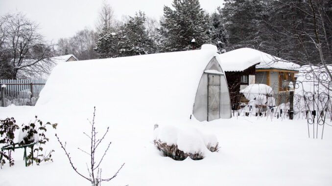 Preparare le aiuole per l'inverno