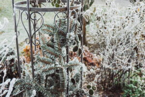 Attrezzi per il giardinaggio invernale