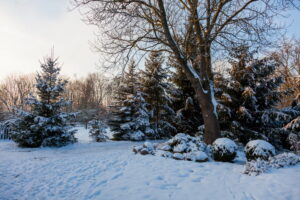 Gestione dell'irrigazione in inverno