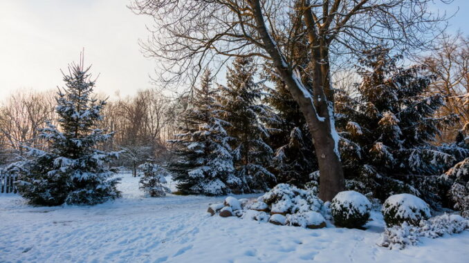 Gestione dell'irrigazione in inverno