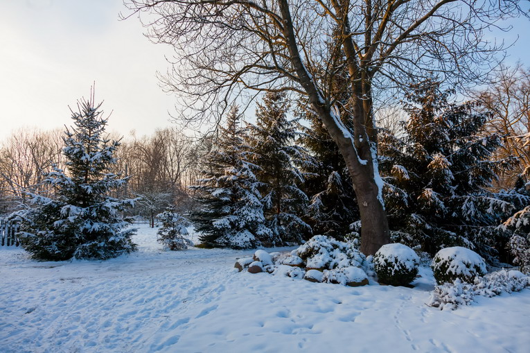 Gestione dell'irrigazione in inverno