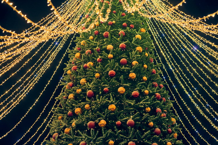Albero di Natale: guida completa per decorare e scegliere