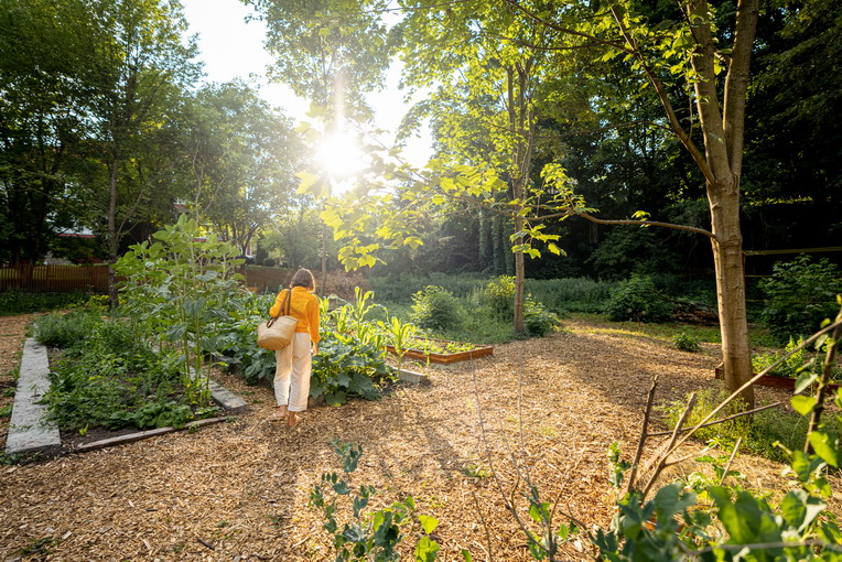 Quali piante scegliere per un giardino fiorito in primavera