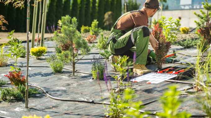 Trucchi e rimedi naturali per la pulizia dei pavimenti esterni