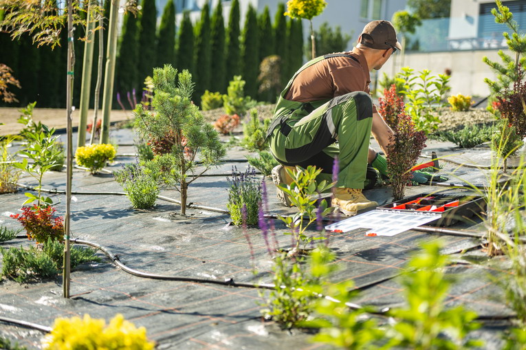 Trucchi e rimedi naturali per la pulizia dei pavimenti esterni