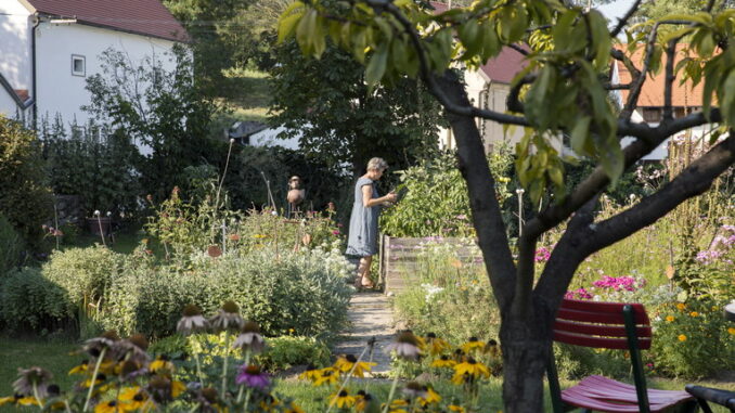 Come concimare il giardino prima della primavera: i metodi migliori Come concimare il giardino prima della primavera: i metodi migliori
