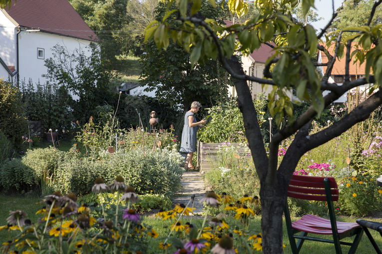 Come concimare il giardino prima della primavera: i metodi migliori