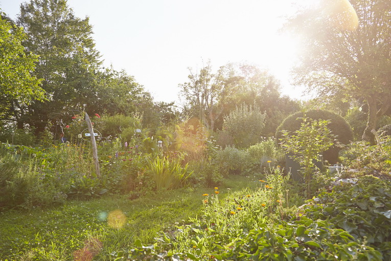 Prato verde e sano in primavera: come curarlo al meglio