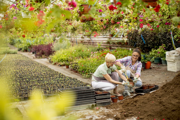 Creare aiuole e bordure per un giardino primaverile ordinato