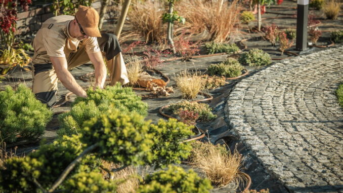 Idropulitrice per la pulizia dei pavimenti del giardino: quando usarla?