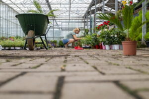 Eliminare le macchie di olio e grasso dai pavimenti esterni