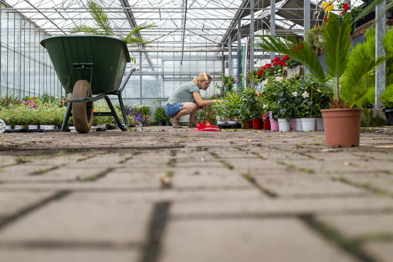 Eliminare le macchie di olio e grasso dai pavimenti esterni
