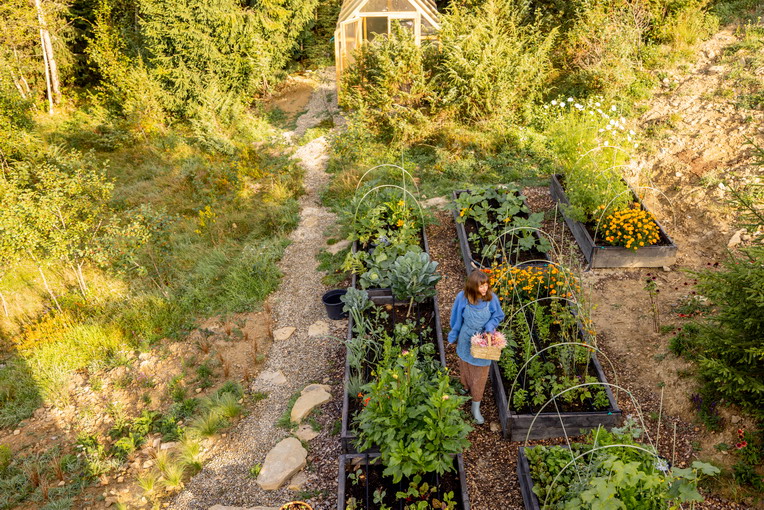 Coltivare in vaso in primavera: le piante più adatte