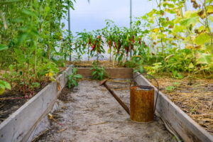 Creare un microclima ideale in orto e giardino