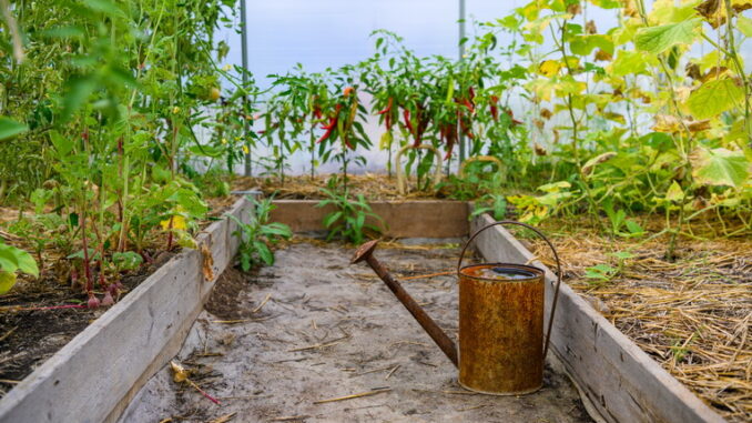 Creare un microclima ideale in orto e giardino Creare un microclima ideale in orto e giardino