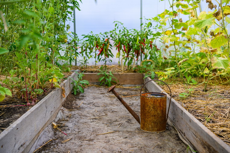 Creare un microclima ideale in orto e giardino