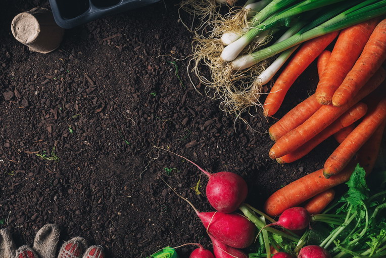 Controllo dei parassiti estivi in orto e giardino