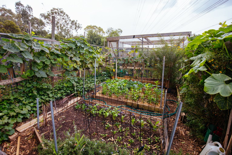 Come proteggere orto e giardino dal caldo estivo