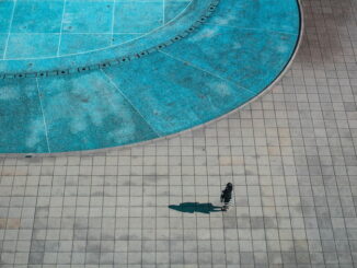 Piscina naturale: come funziona e quanto costa
